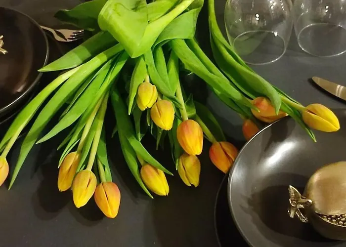 Przytulne 5 Z Parkingiem